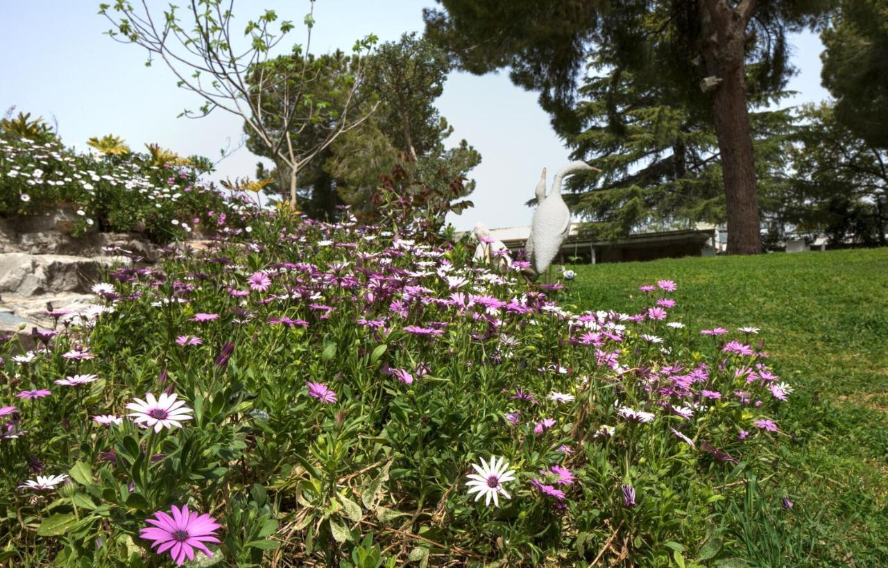 Hacienda Forest View Hotel Maalot Tarshiha Exterior foto